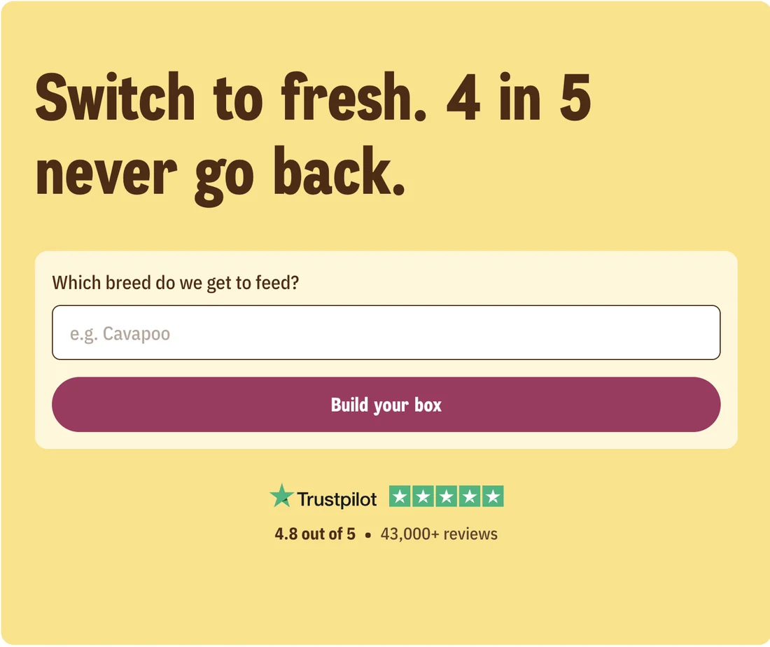 Butternut Box landing screen asking which breed we get to feed, with a Build your box button